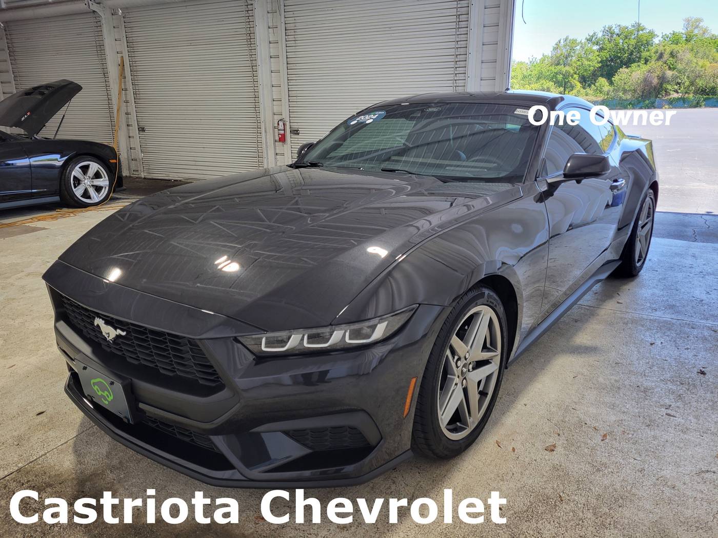 2024 Ford Mustang EcoBoost Premium — Coupe — 6,978 mi — Hudson, FL