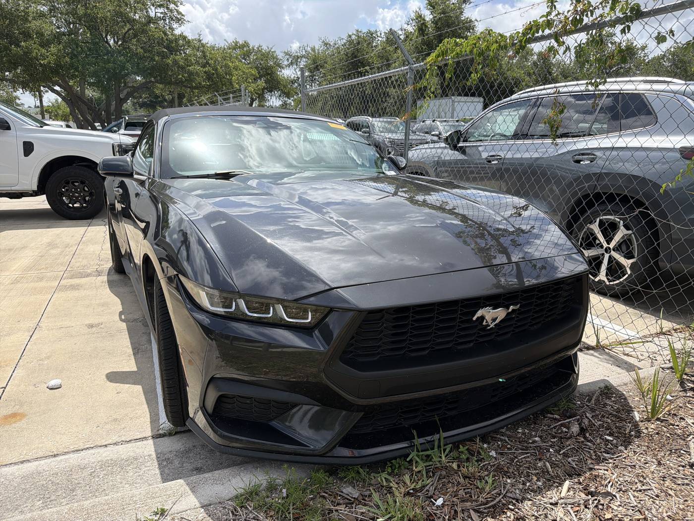 2024 Ford Mustang EcoBoost Premium