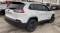 2023 Jeep Cherokee in Chicago, IL 5 - Open Gallery