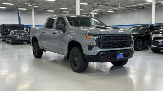 2024 Chevrolet Silverado 1500 Custom Trail Boss — Pickup Truck — 29,520 mi — Lake Bluff, IL