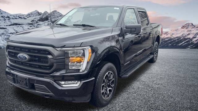 2023 Ford F-150 XLT — Pickup Truck — 31,410 mi — Bronx, NY