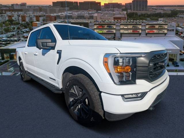 2023 Ford F-150 XLT — Pickup Truck — 28,749 mi — Tampa, FL
