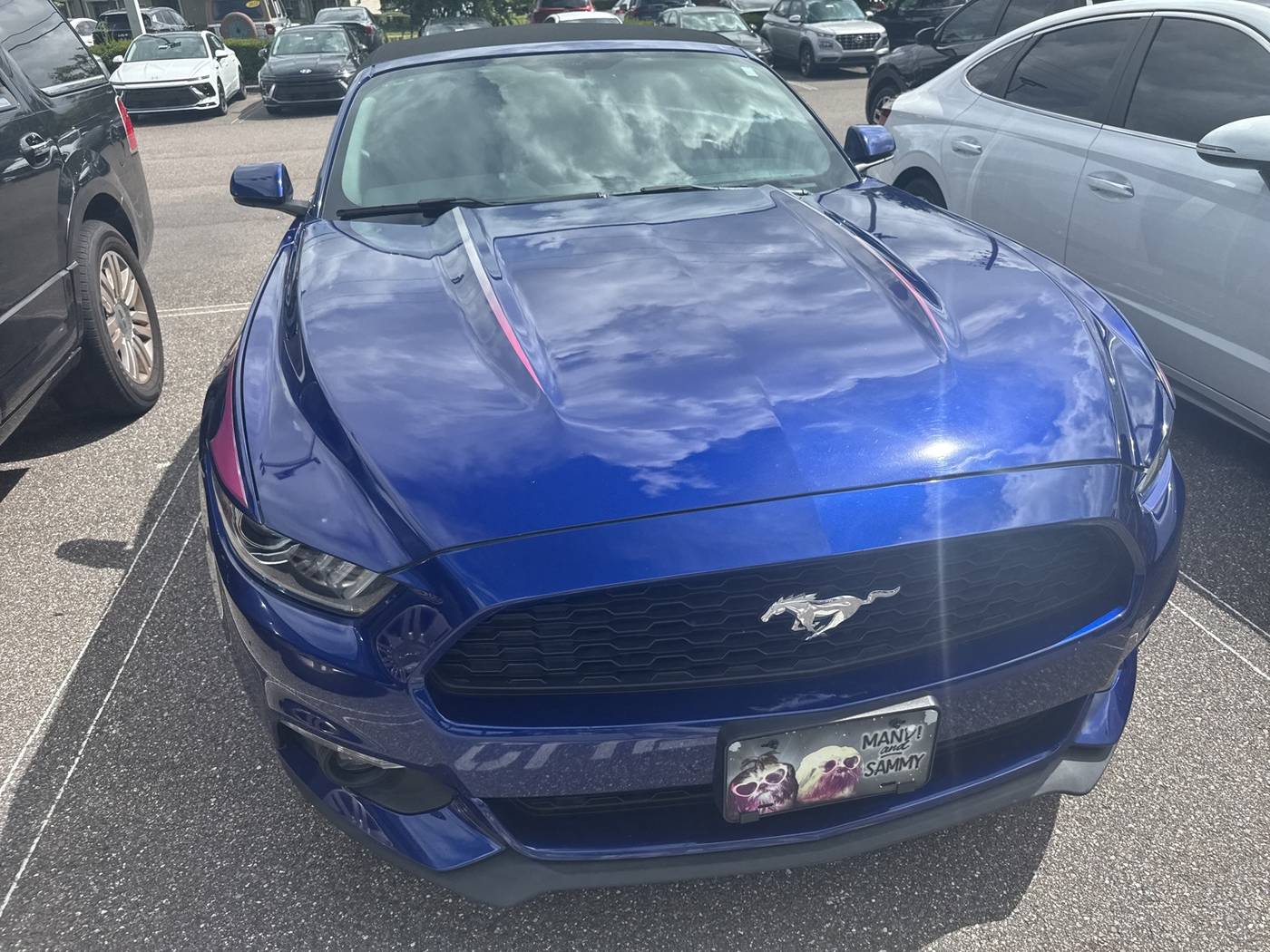 2016 Ford Mustang EcoBoost Premium — Convertible — 84,361 mi — Jacksonville, FL