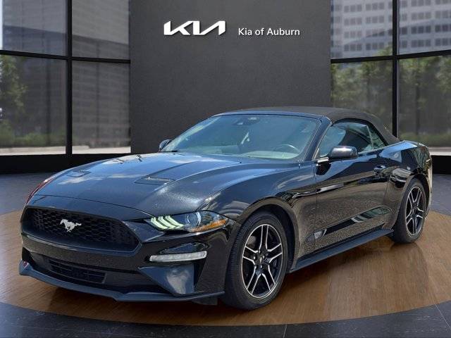 2023 Ford Mustang EcoBoost Premium — Convertible — 49,562 mi — Auburn, AL