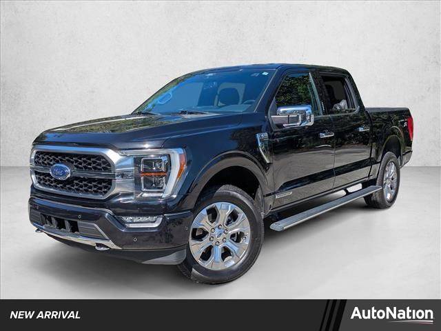2021 Ford F-150 Platinum — Pickup Truck — 46,231 mi — Jacksonville, FL