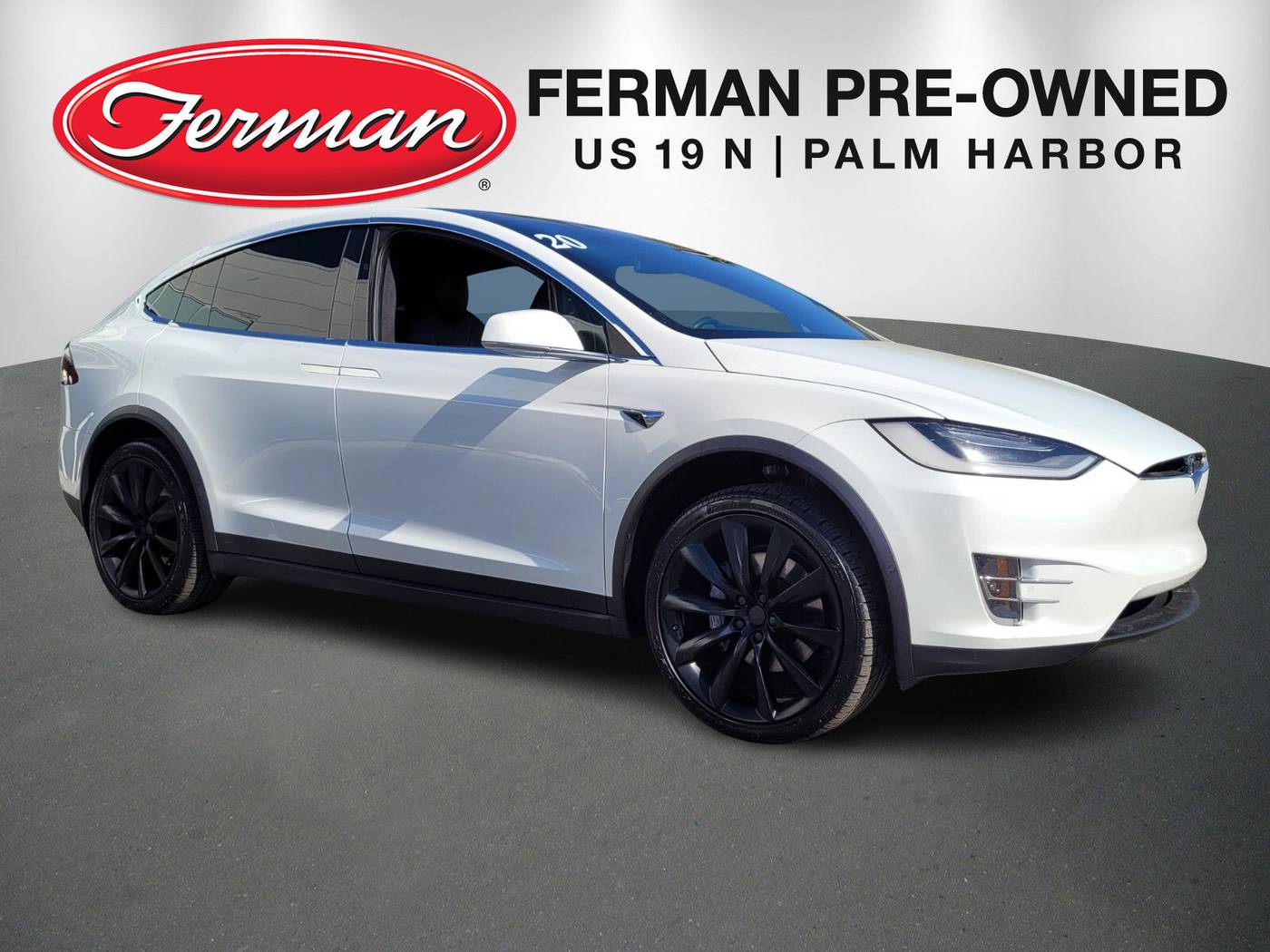 2020 Tesla Model X Long Range — SUV — 35,355 mi — Palm Harbor, FL