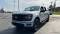 2024 Ford F-150 in Libertyville, IL 4 - Open Gallery