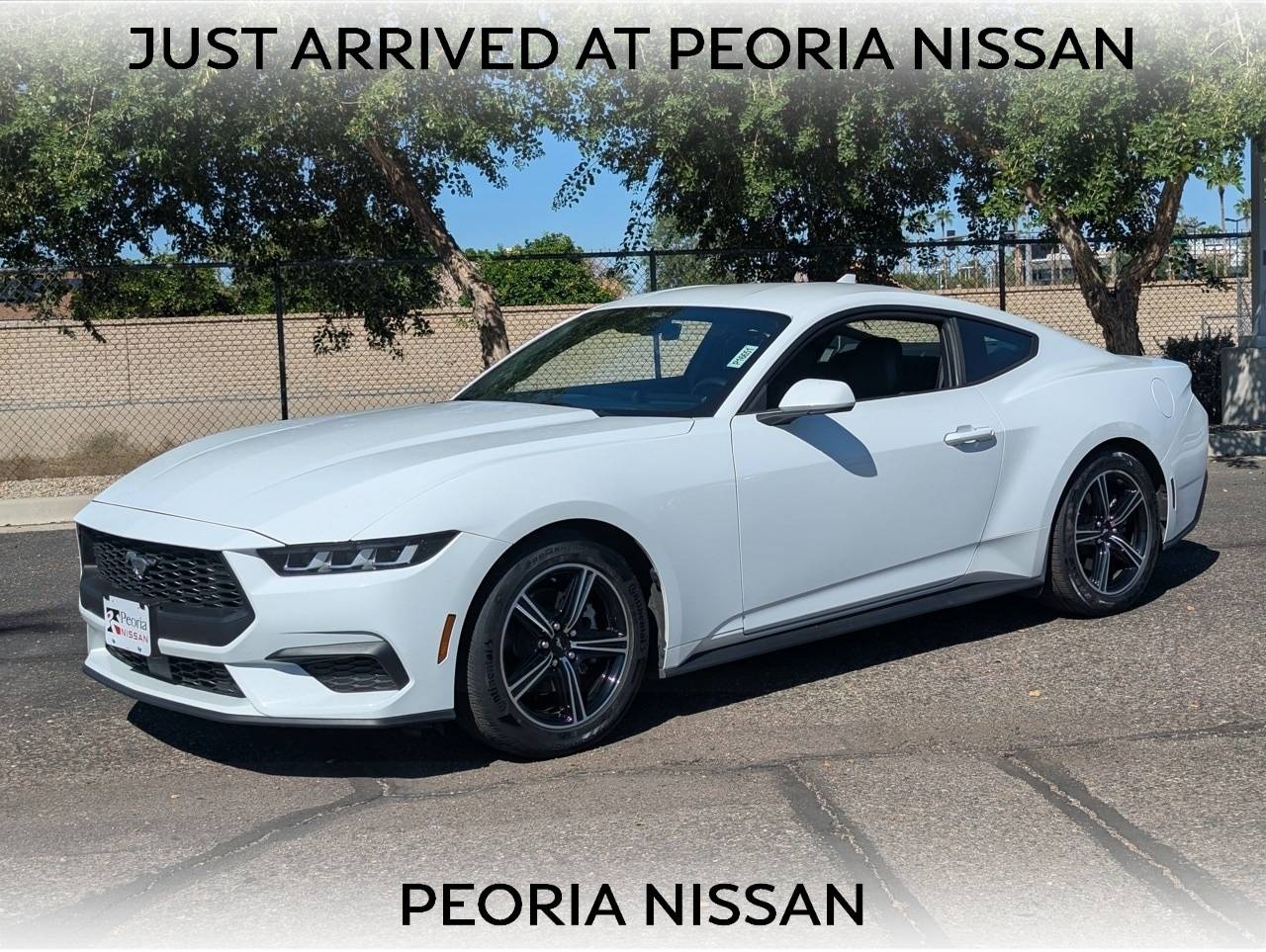 2024 Ford Mustang EcoBoost — Coupe — 31,996 mi — Peoria, AZ