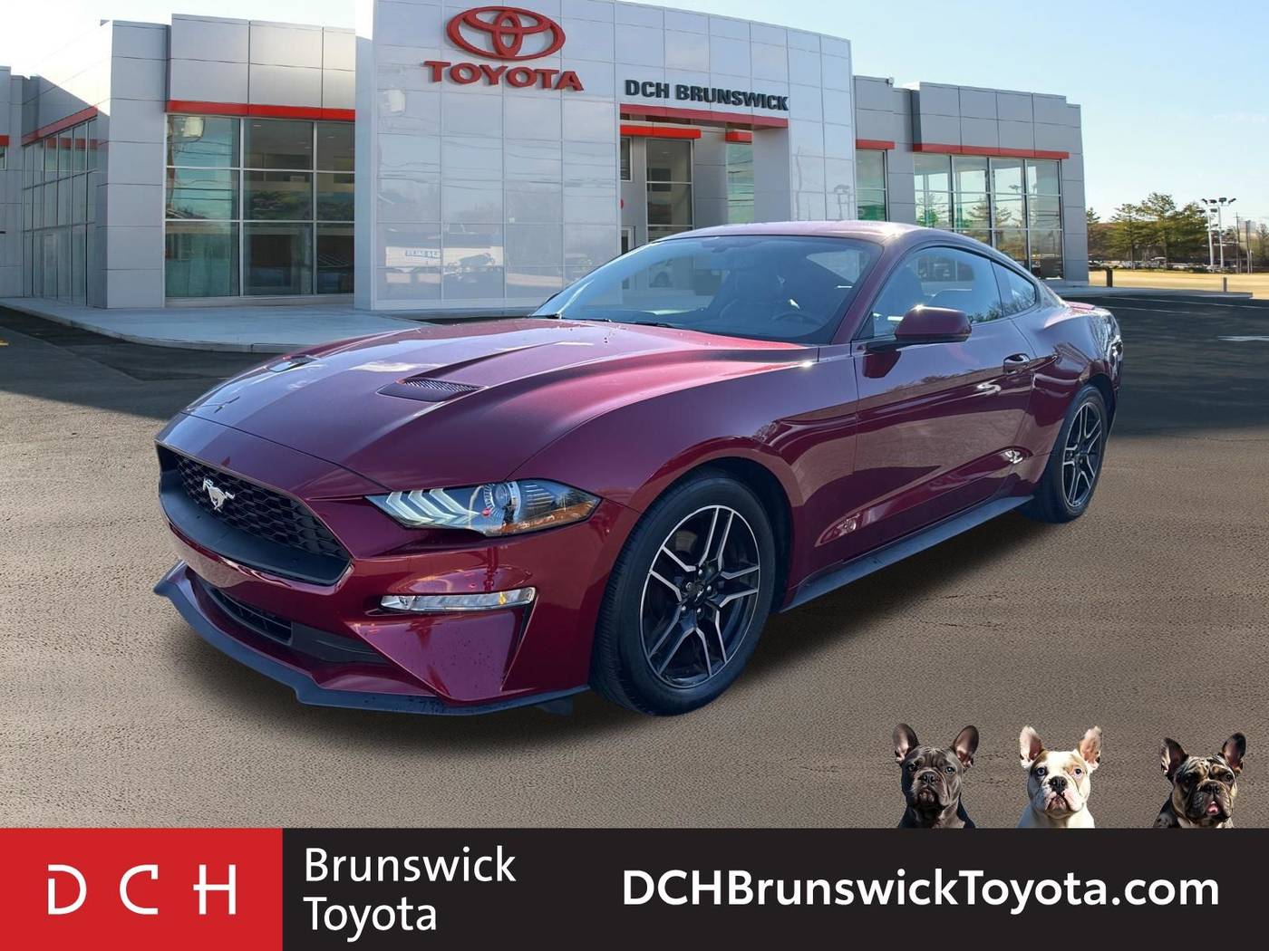 2019 Ford Mustang EcoBoost Premium