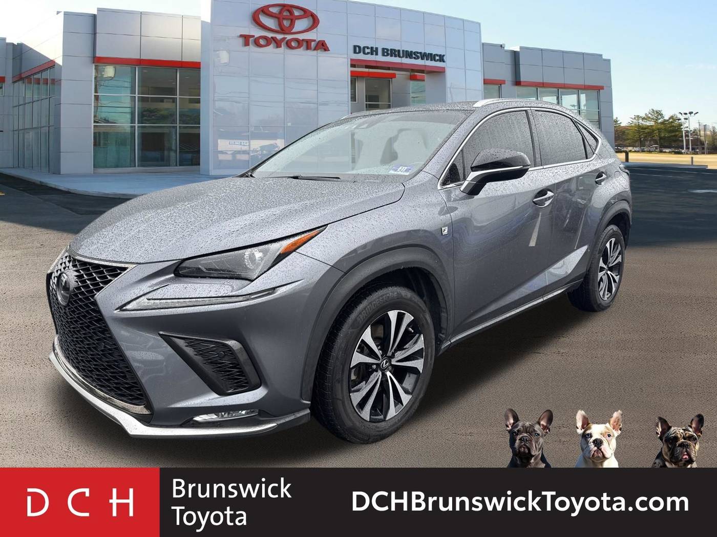 Used Lexus NX 300 F SPORT for Sale in New York, NY (with Photos