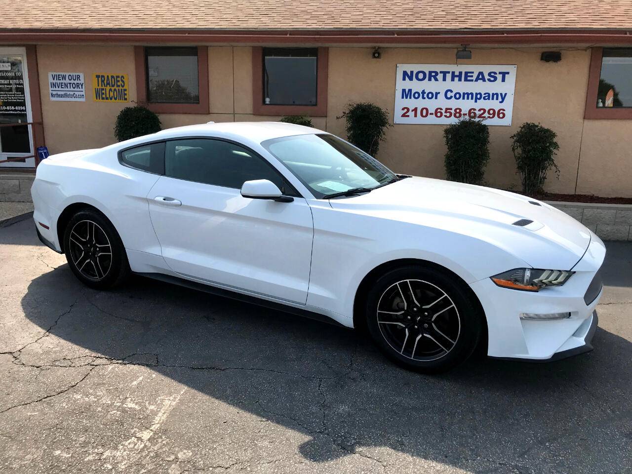 2019 Ford Mustang EcoBoost — Coupe — 81,039 mi — Universal City, TX