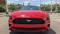 2020 Ford Mustang in Gainesville, FL 3 - Open Gallery
