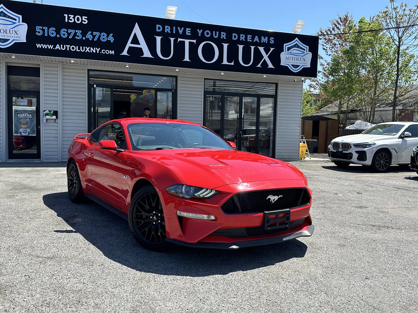 2020 Ford Mustang GT Premium — Coupe — 24,130 mi — Elmont, NY