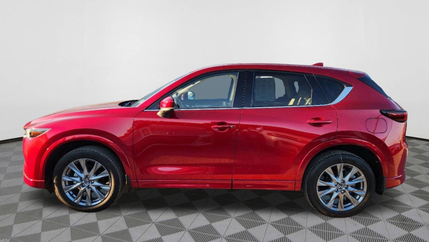 Thumbnail 5