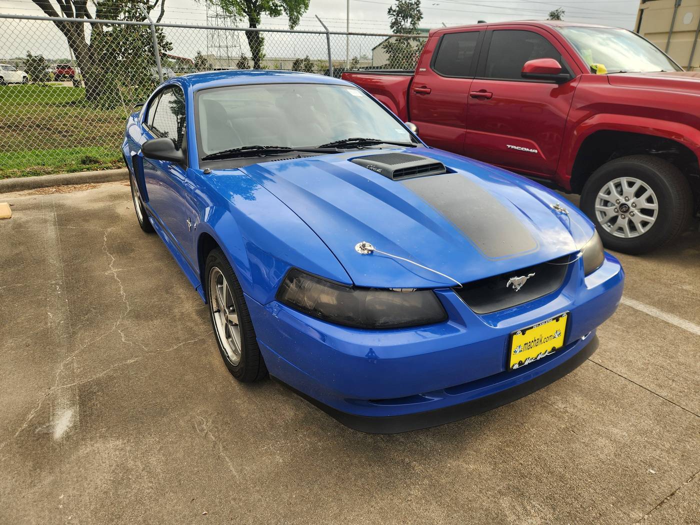 2003 Ford Mustang Premium Mach 1