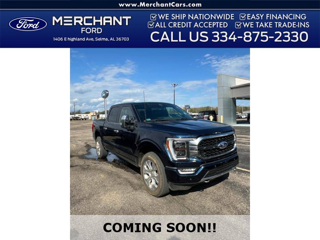 2022 Ford F-150 Platinum — Pickup Truck — 87,074 mi — Selma, AL
