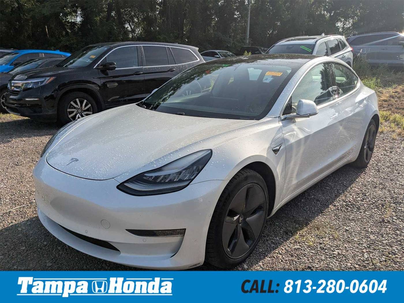 2020 Tesla Model 3 Long Range — Sedan — 43,779 mi — Tampa, FL