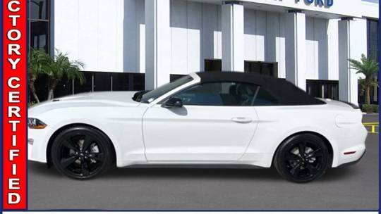 2021 Ford Mustang EcoBoost — Convertible — 23,795 mi — Clearwater, FL