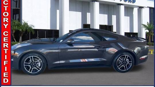 2022 Ford Mustang EcoBoost — Coupe — 27,230 mi — Clearwater, FL