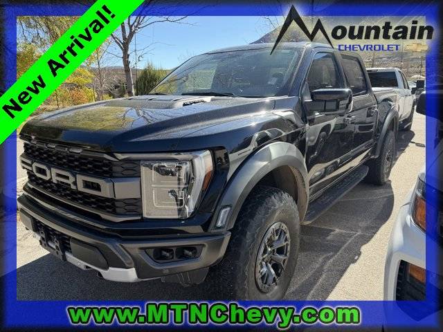 2022 Ford F-150 Raptor — Pickup Truck — 49,259 mi — Glenwood Springs, CO