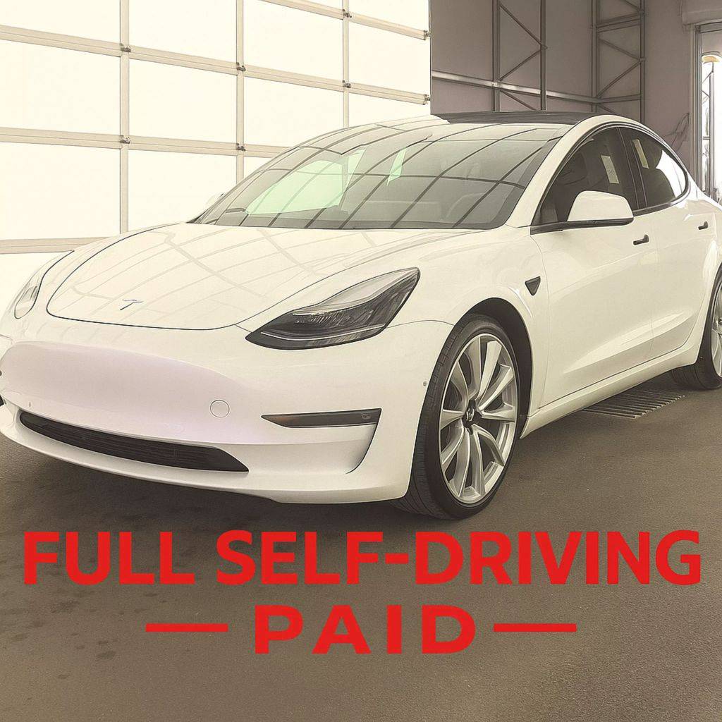 2022 Tesla Model 3 Long Range — Sedan — 74,362 mi — Los Angeles, CA