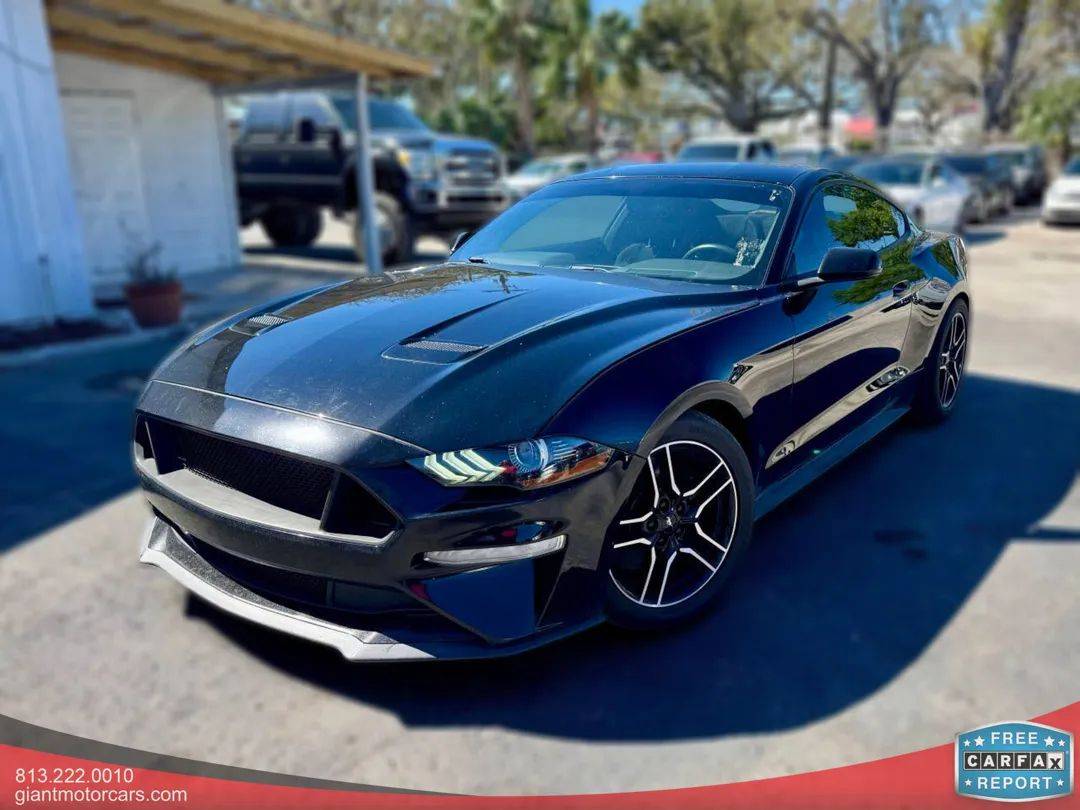 2019 Ford Mustang EcoBoost — Coupe — 55,329 mi — Tampa, FL