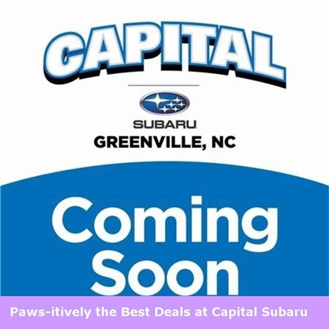 2019 Honda Odyssey EX-L — Minivan — 62,441 mi — Winterville, NC
