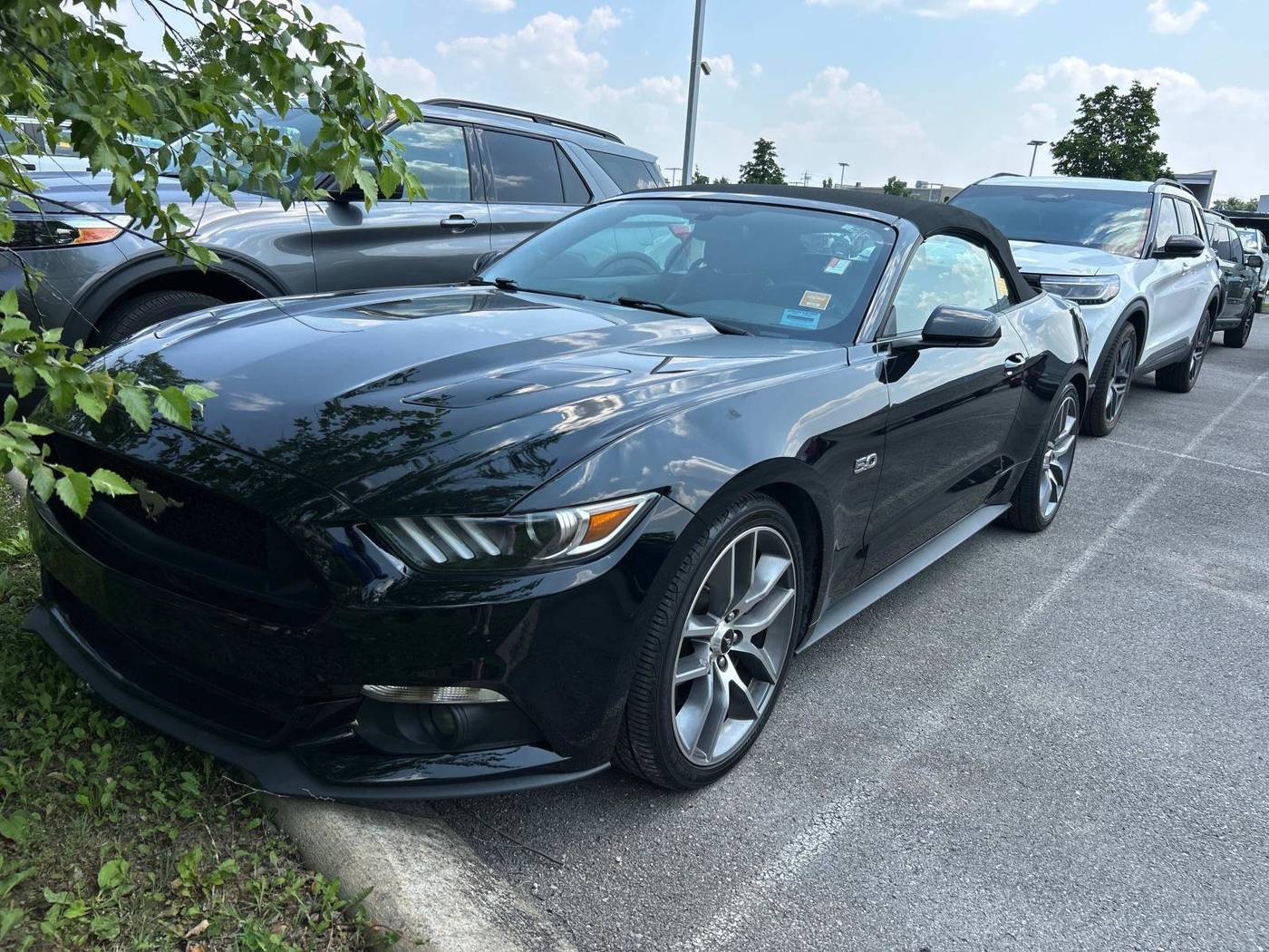 2016 Ford Mustang GT Premium — Convertible — 104,609 mi — Murfreesboro, TN