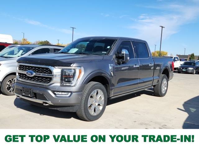 2022 Ford F-150 Platinum — Pickup Truck — 35,360 mi — Loveland, CO