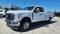 2023 Ford Super Duty F-250 in Loveland, CO 2 - Open Gallery