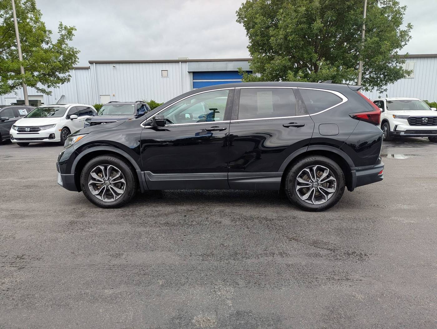 Thumbnail 5