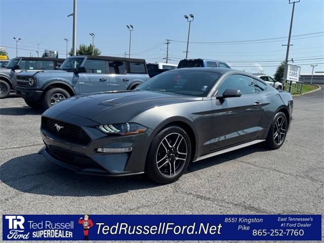 2020 Ford Mustang EcoBoost Premium — Coupe — 51,024 mi — Knoxville, TN