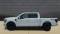 2024 Ford F-150 in Corpus Christi, TX 5 - Open Gallery