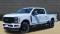 2024 Ford Super Duty F-250 in Corpus Christi, TX 1 - Open Gallery