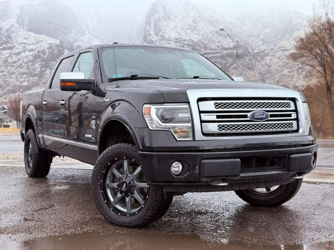 2014 Ford F-150 Platinum — Pickup Truck — 150,110 mi — Springville, UT
