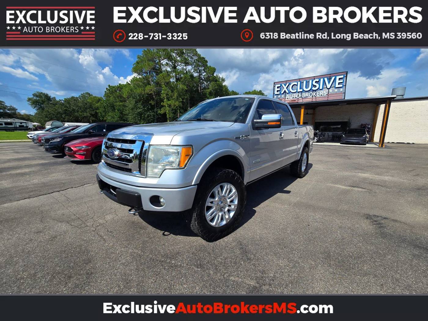 2012 Ford F-150 Platinum — Pickup Truck — 191,803 mi — Long Beach, MS