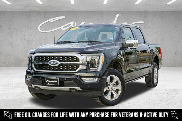 2023 Ford F-150 Platinum — Pickup Truck — 54,060 mi — San Antonio, TX