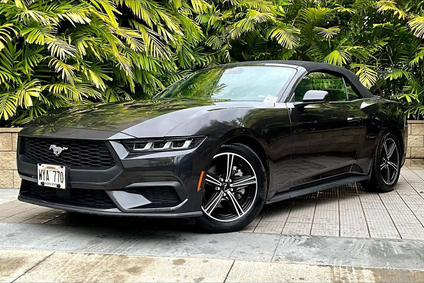 2024 Ford Mustang EcoBoost Premium