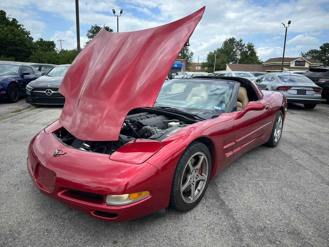 Photo 17