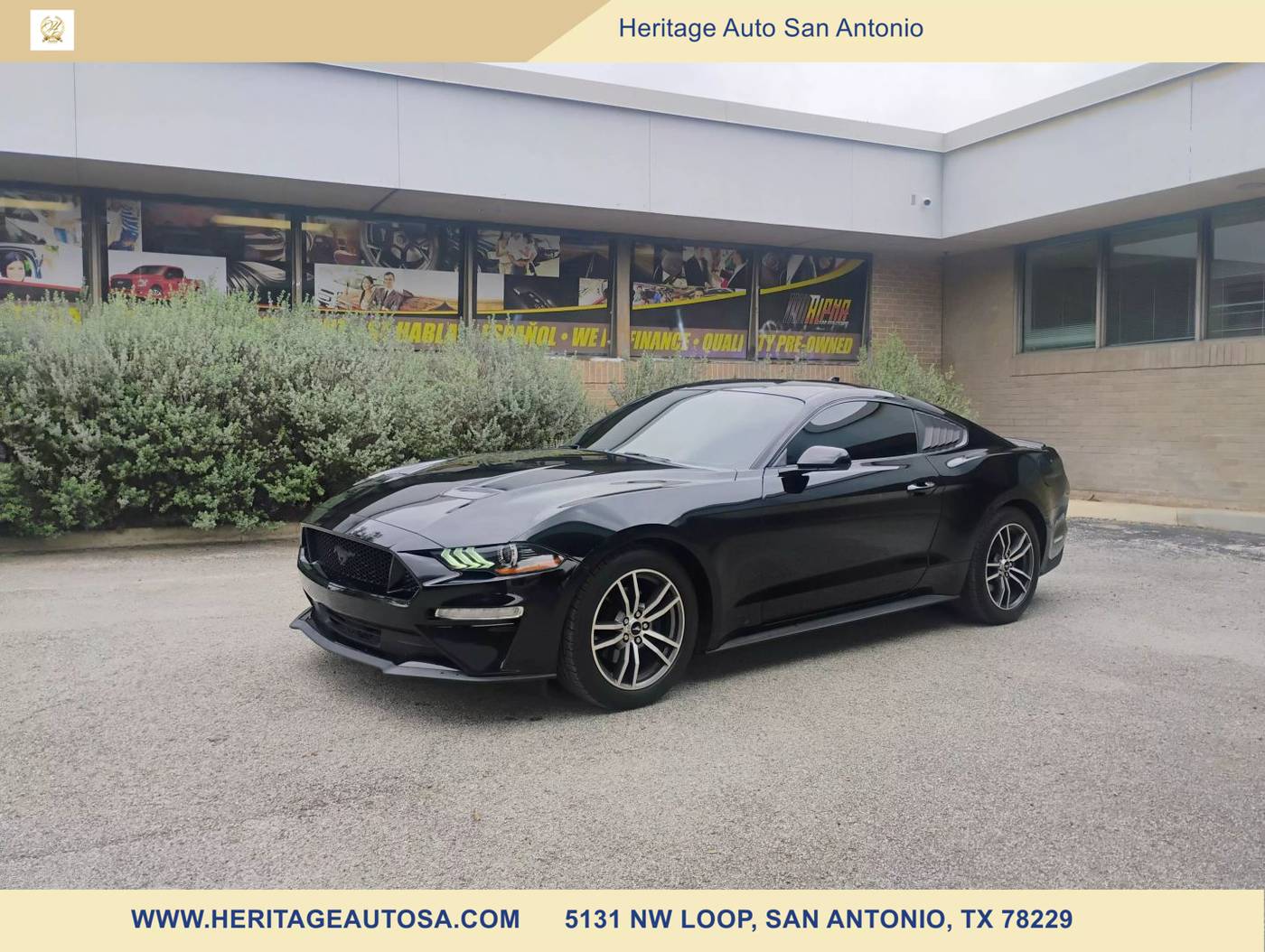 2020 Ford Mustang EcoBoost — Coupe — 55,202 mi — San Antonio, TX
