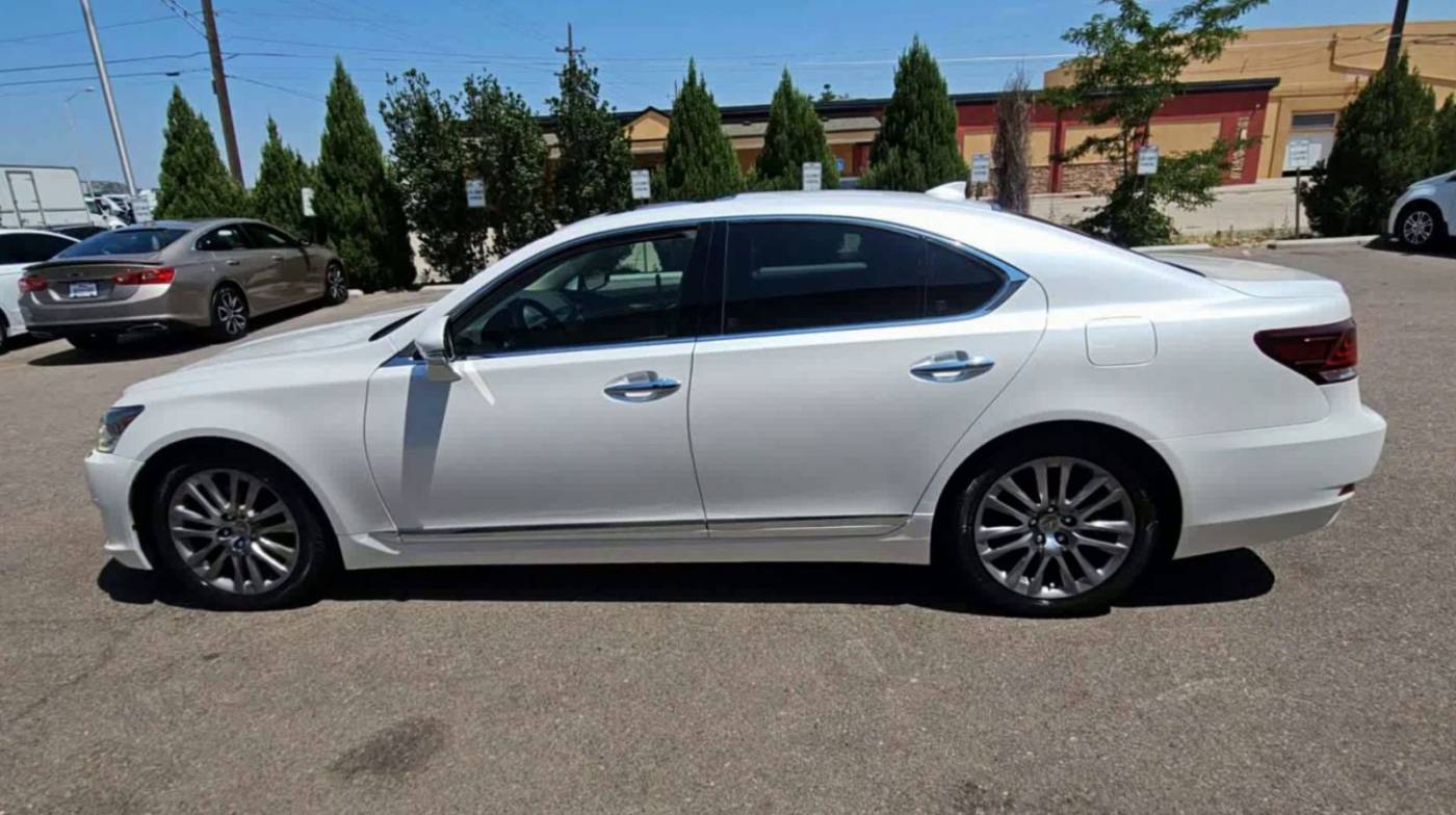 Thumbnail 5
