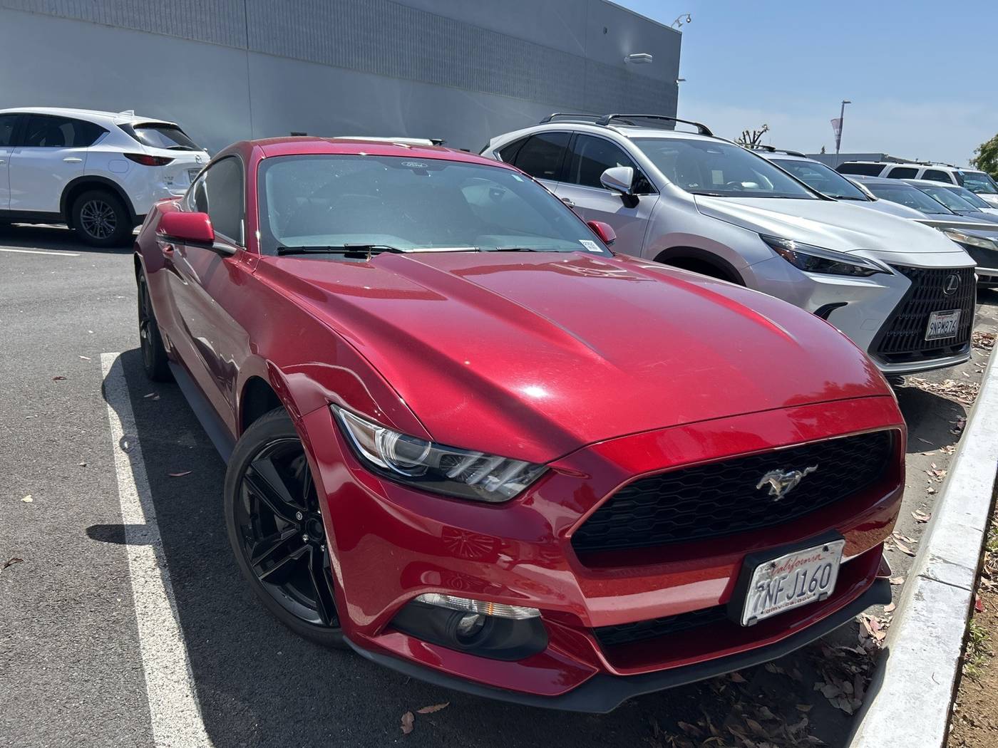 2016 Ford Mustang EcoBoost Premium — Coupe — 50,953 mi — Concord, CA