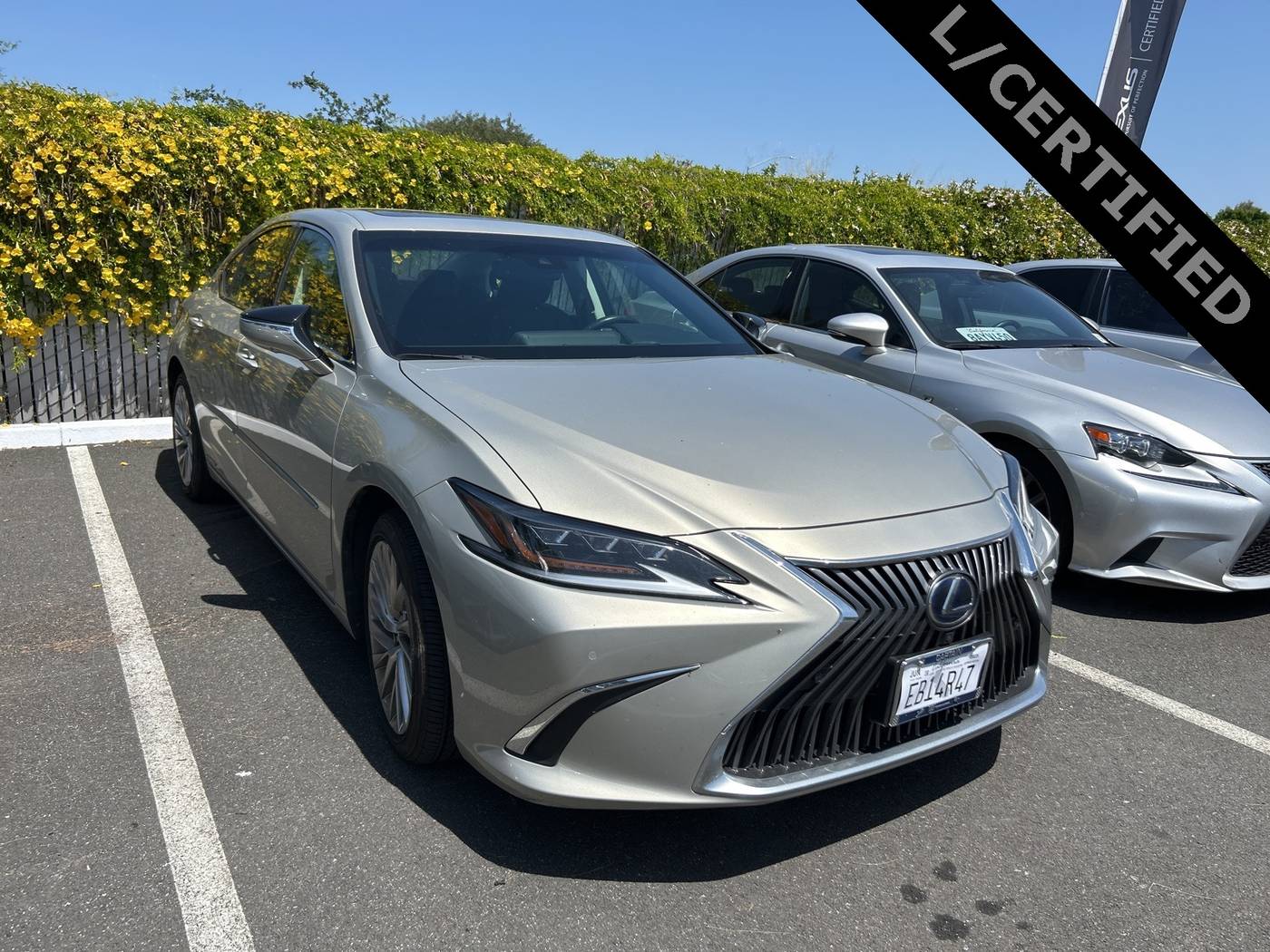 2021 Lexus ES ES 300h Luxury — Sedan — 30,039 mi — Concord, CA