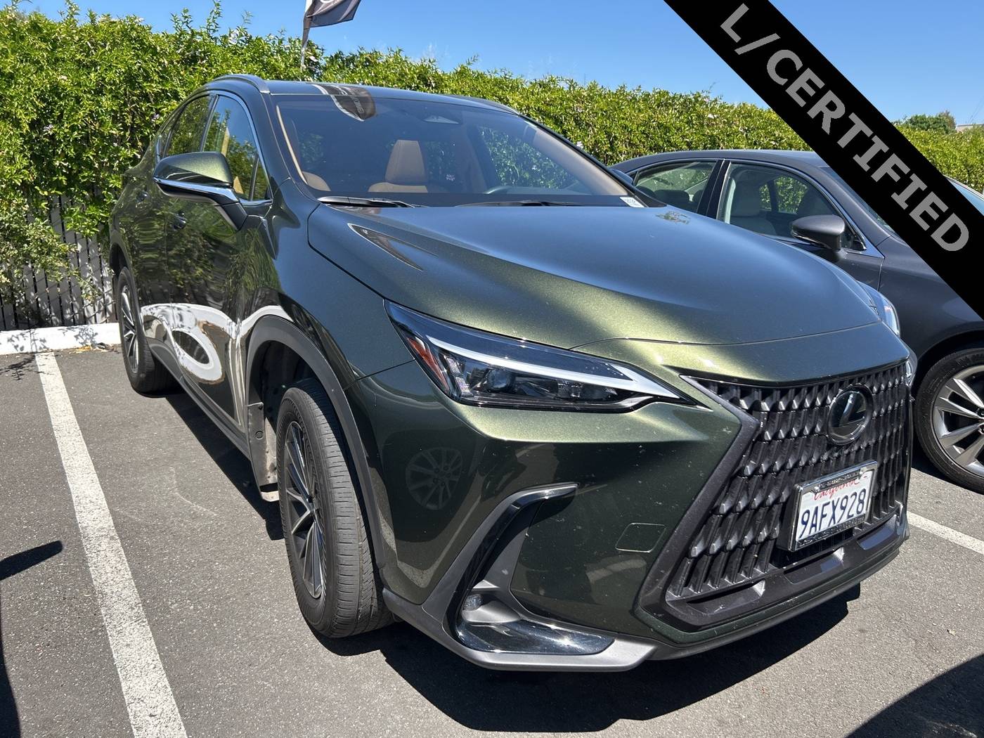 2022 Lexus NX NX 350h — SUV — 20,664 mi — Concord, CA