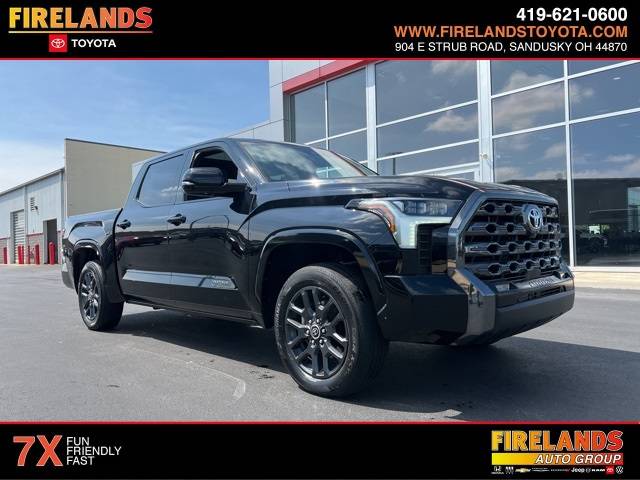 2022 Toyota Tundra Platinum — Pickup Truck — 25,121 mi — Sandusky, OH