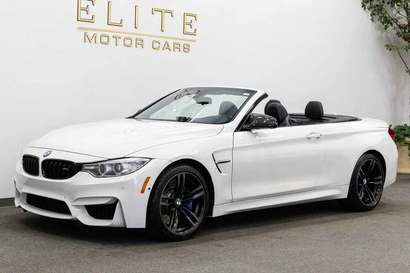 2015 BMW M4 Standard