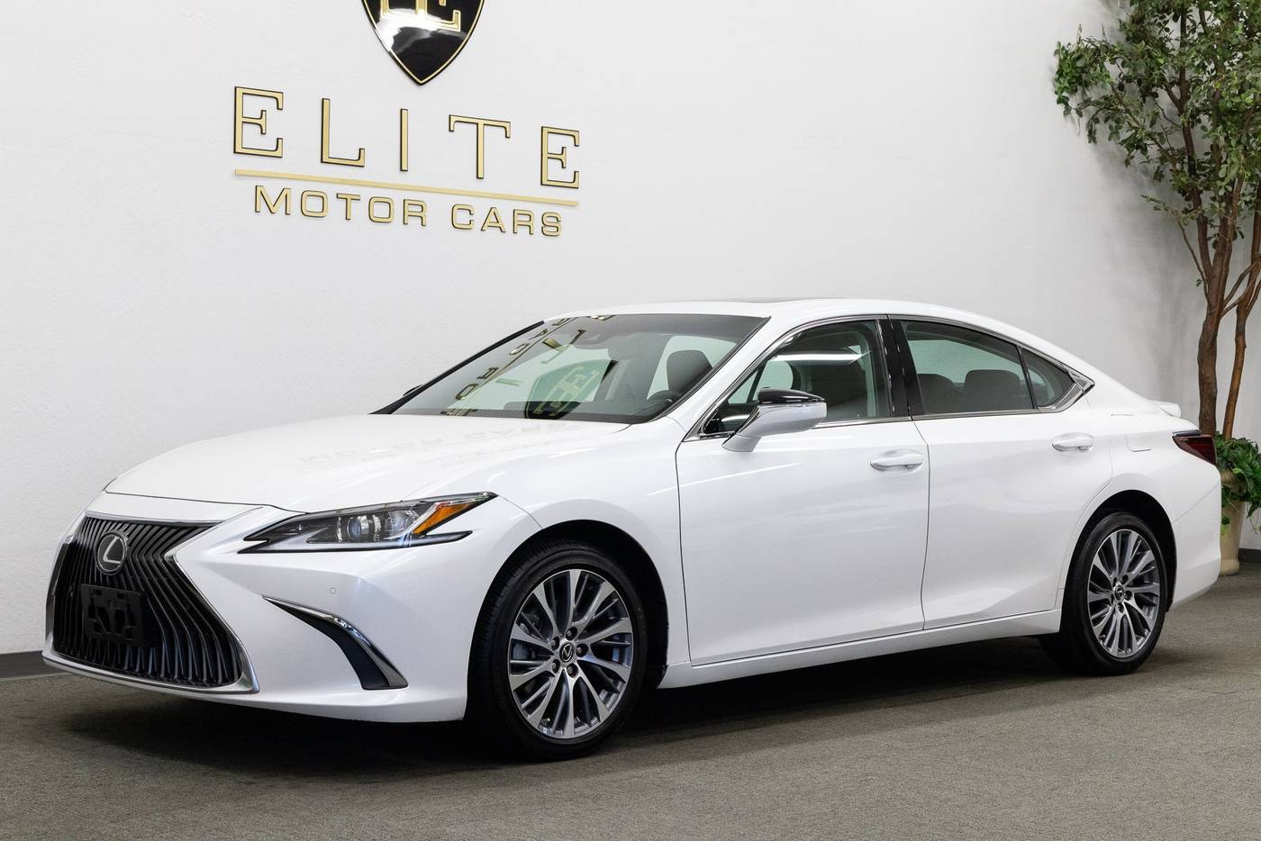 2021 Lexus ES ES 250 — Sedan — 22,943 mi — Concord, CA