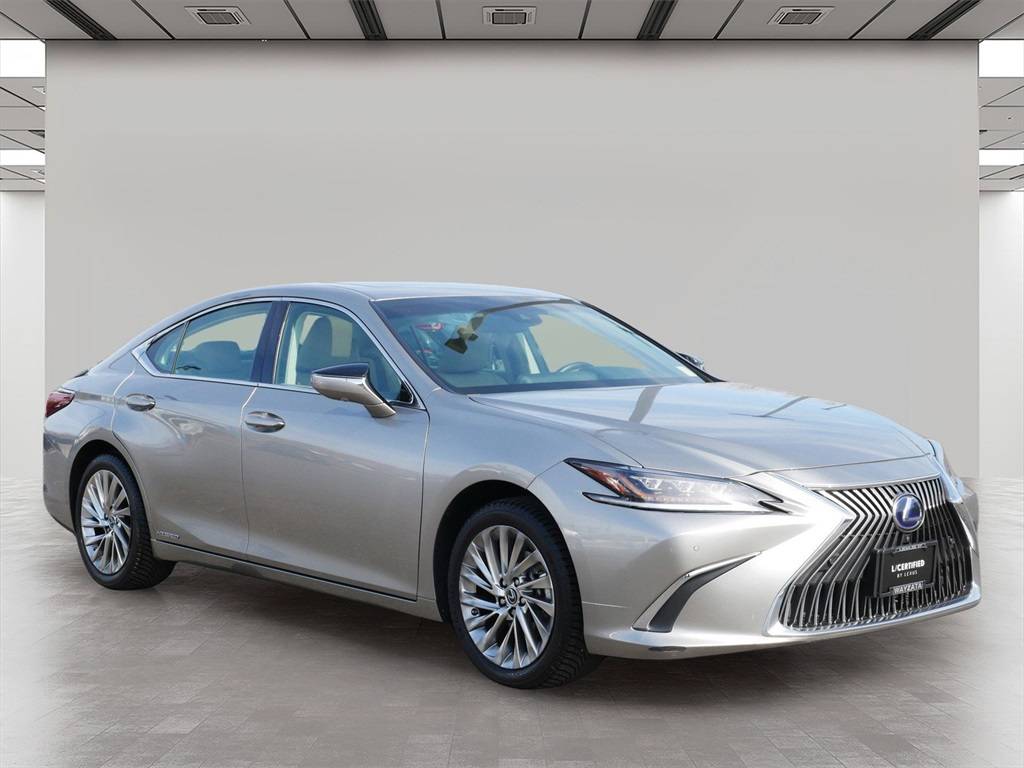 2019 Lexus ES ES 300h Luxury — Sedan — 41,575 mi — Wayzata, MN