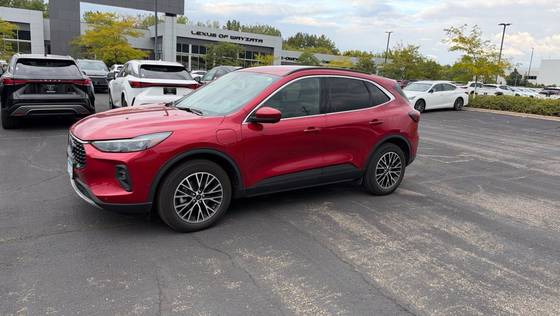 Used Ford SUVs for Sale in Annandale, MN (with Photos) - TRUECar