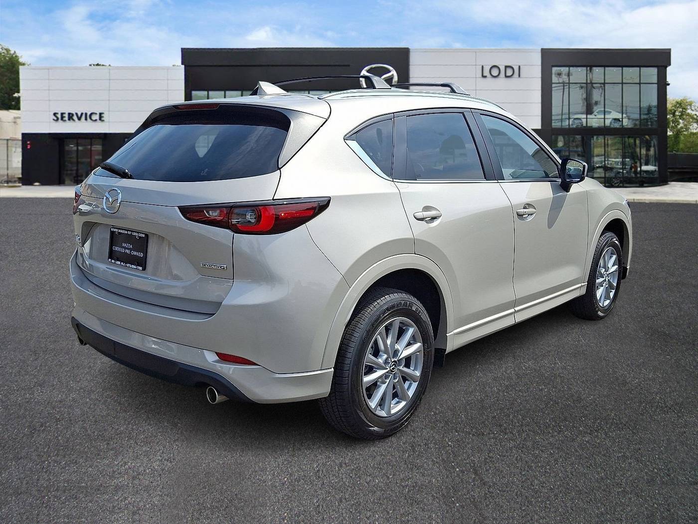 Thumbnail 4
